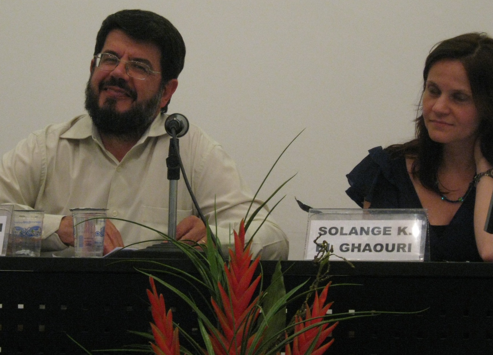 Foto: Políticas públicas relacionadas aos idosos são tema de mesa no IEA